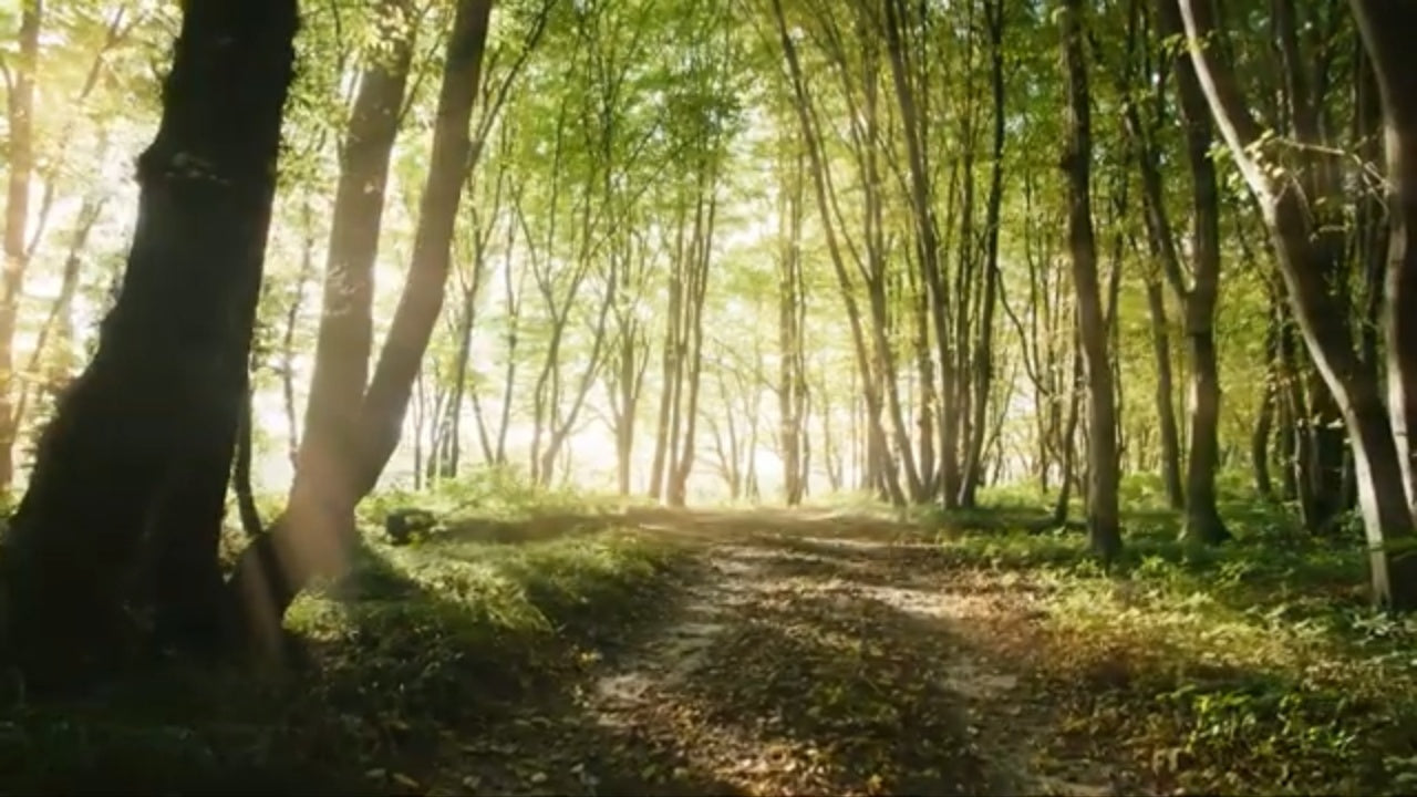 Protect Your Peace: A 9-Minute Meditation to Release What You Can't Control