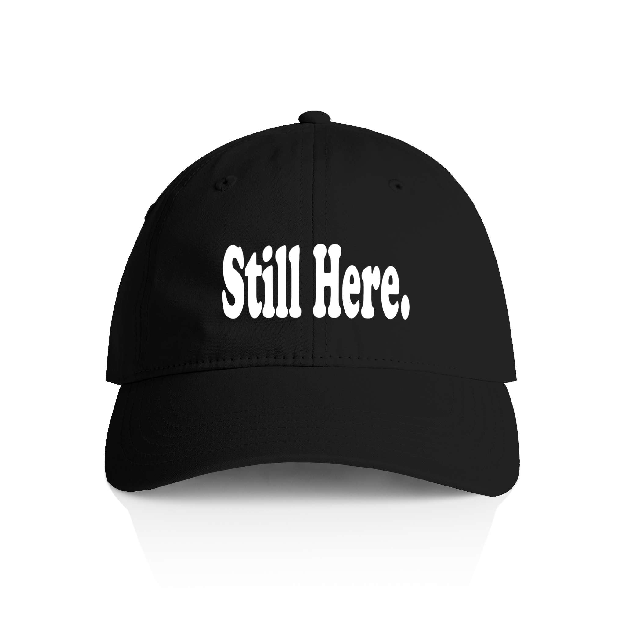 Adult Bio-Washed Dad Hat